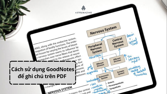Cách sử dụng GoodNotes để ghi chú trên PDF